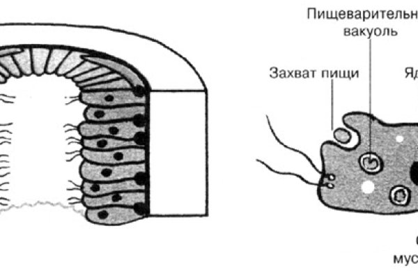 Кракен как зайти через тор браузер