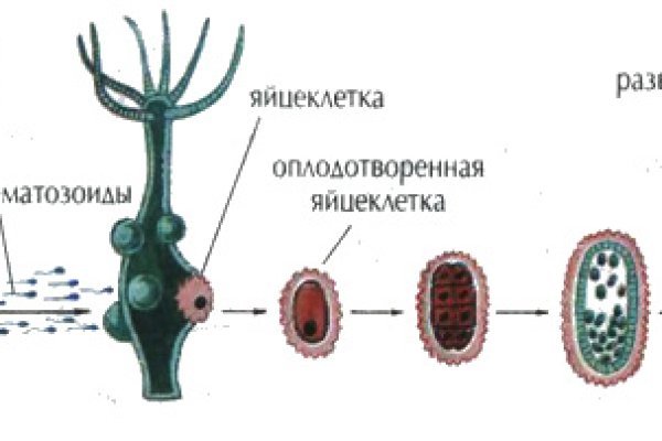 Кракен рынок сайт